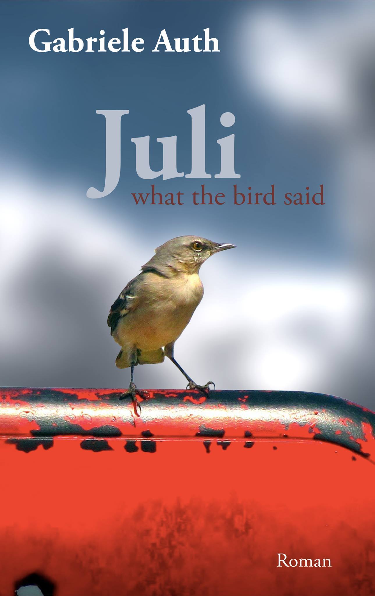 21769318_1446340685403680_1070063805_o-001